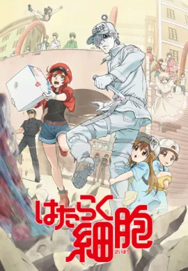 Hataraku Saibou (Cells at Work!) Season 1 เซลล์ขยัน พันธุ์เดือด ซีซั่น 1 ตอนที่ 1-13 พากย์ไทย